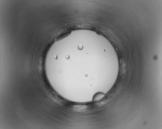 X0000116890266201001121349