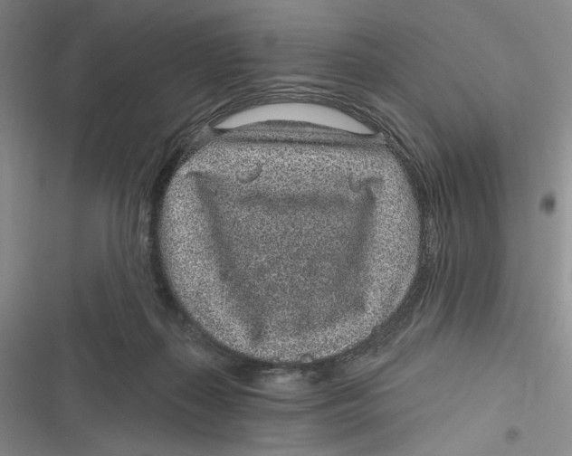 X0000116890267201001121349