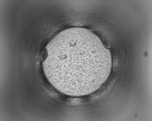 X0000116890268201001121350