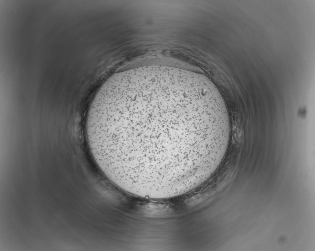 X0000116890270201001121350