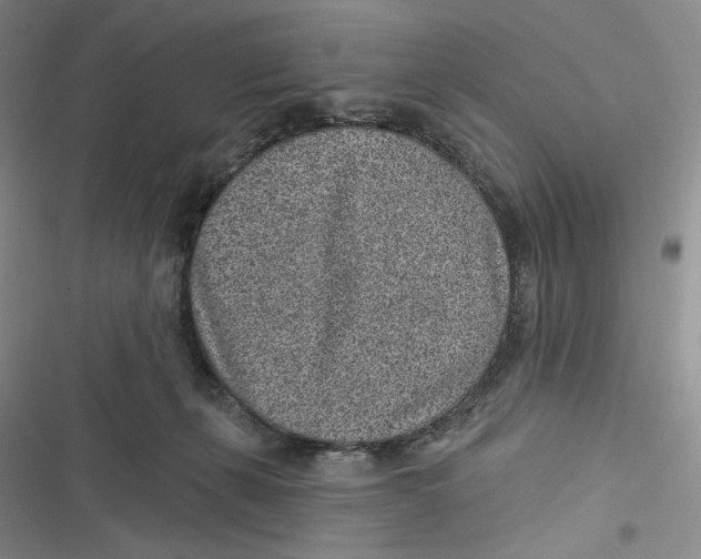 X0000116890271201001121350