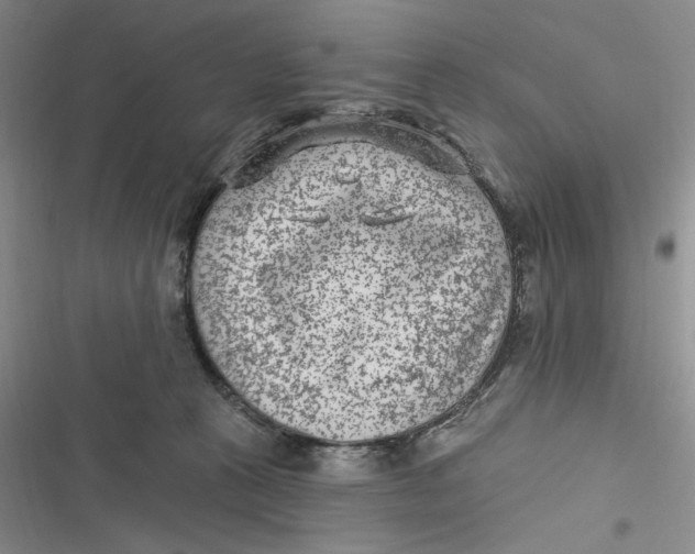 X0000116890273201001121350