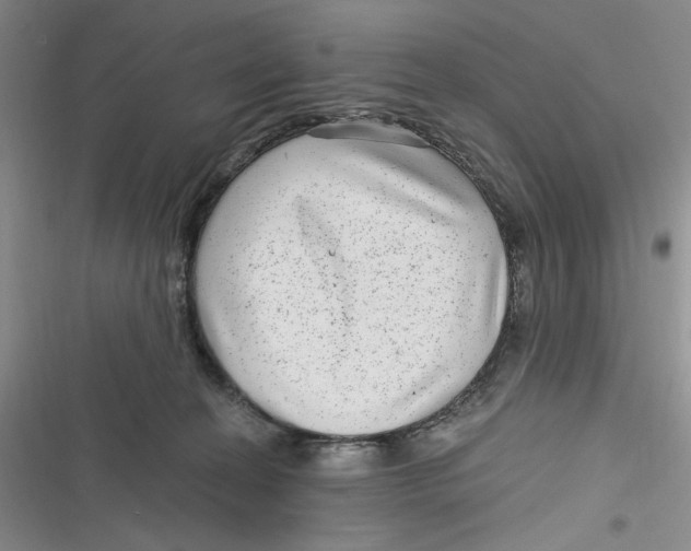 X0000116890274201001121350