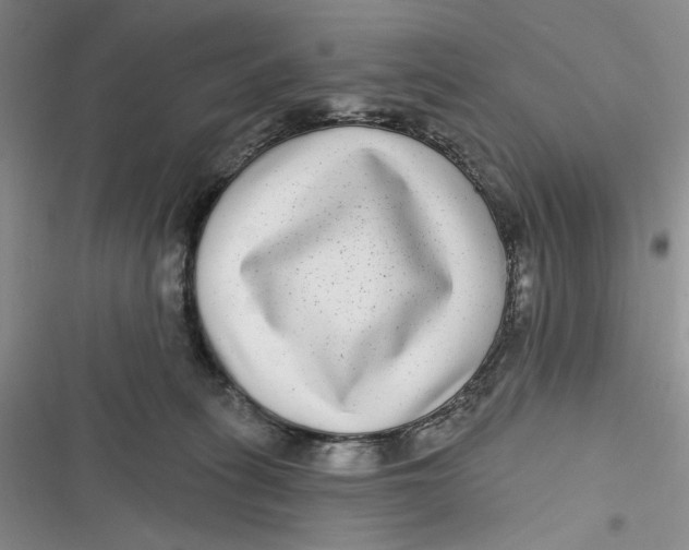 X0000116890275201001121350