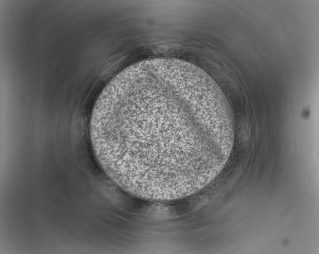 X0000116890276201001121350