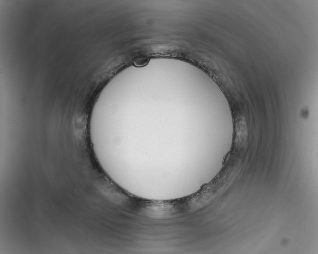 X0000116890278201001121350