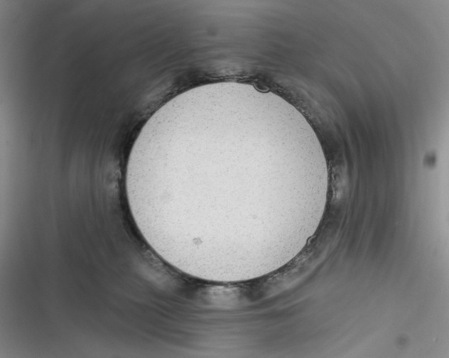 X0000116890279201001121350