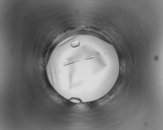 X0000116890280201001121350