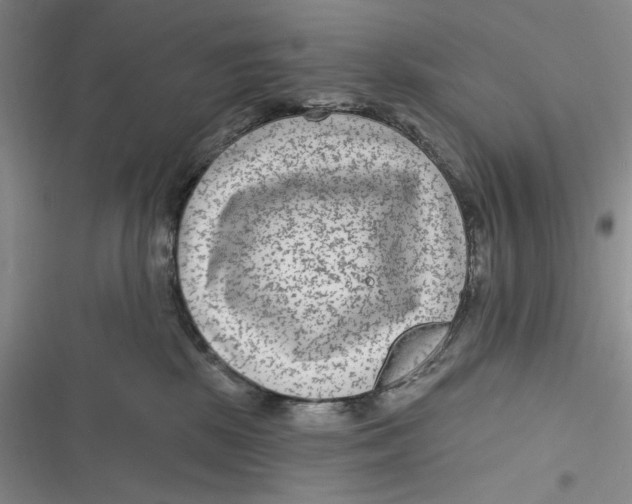 X0000116890281201001121350