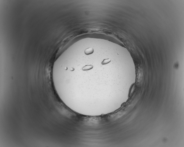 X0000116890282201001121350