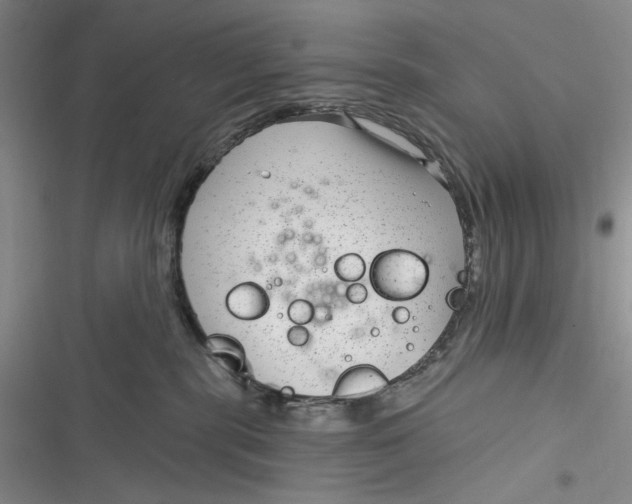 X0000116890283201001121350