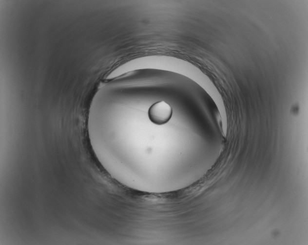 X0000116890284201001121350