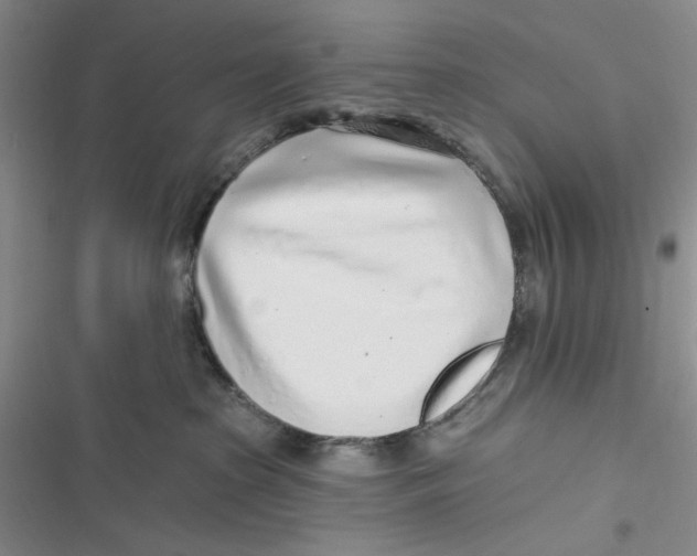 X0000116890285201001121350