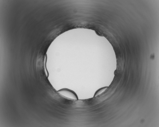 X0000116890287201001121350