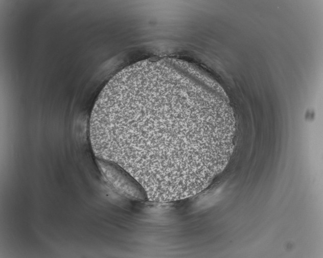 X0000116890288201001121350