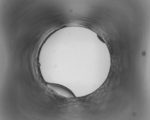 X0000116890289201001121349