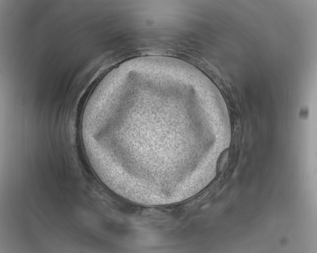 X0000116890290201001121349