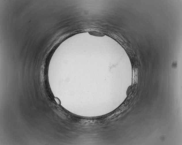 X0000116890291201001121349