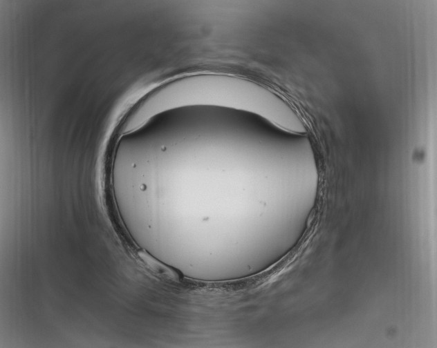 X0000116890294201001121349