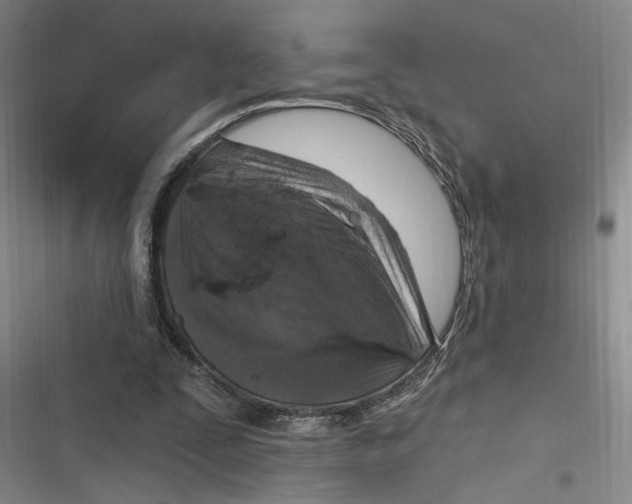 X0000116890295201001121349