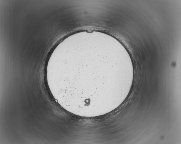 X0000116890297201001121349