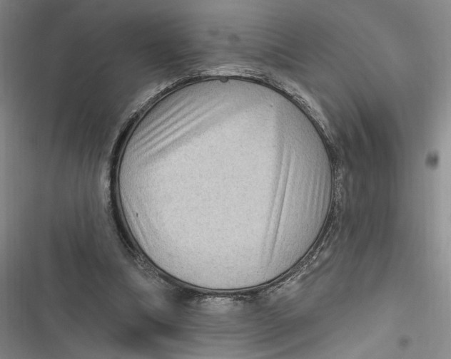 X0000116890298201001121349