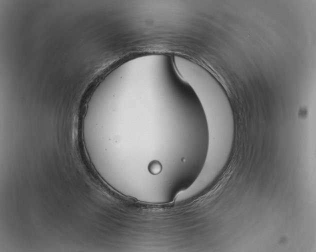 X0000116890301201001121349