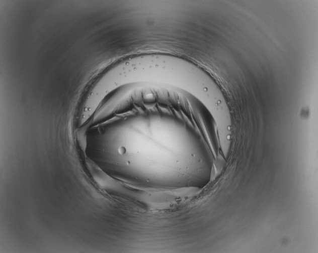 X0000116890302201001121349