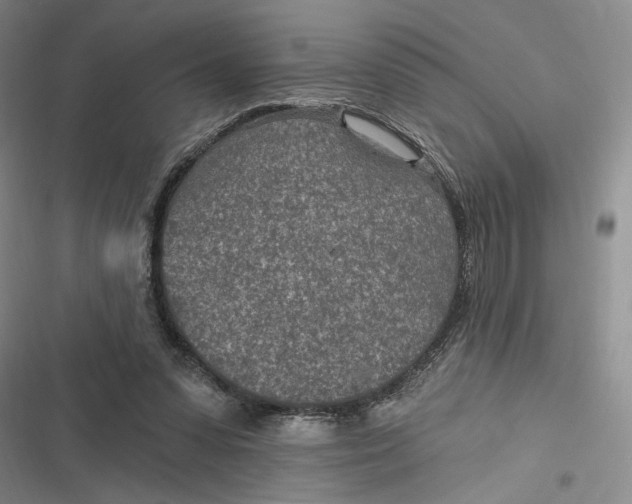 X0000116890303201001121349