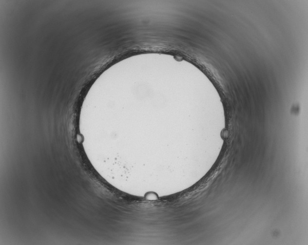 X0000116890305201001121349