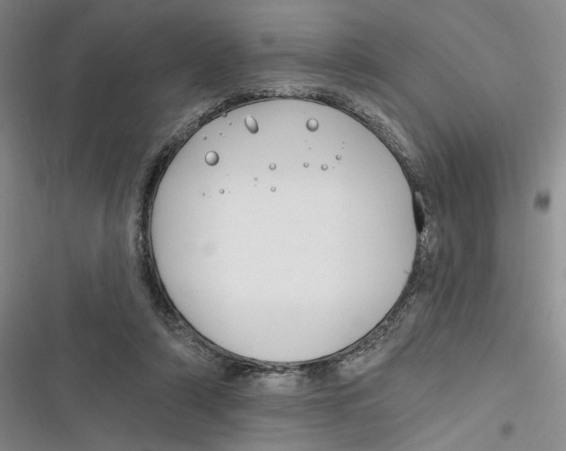 X0000116890306201001121349