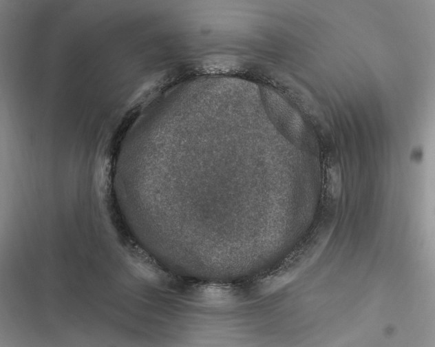 X0000116890308201001121349