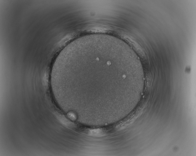 X0000116890309201001121349