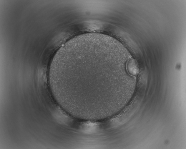 X0000116890313201001121349