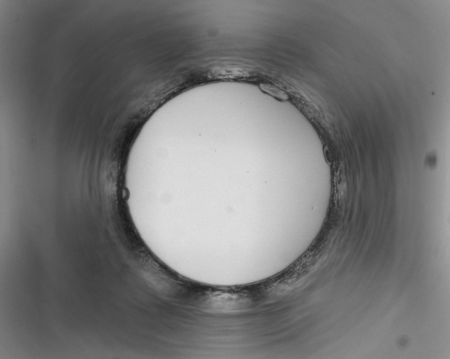 X0000116890315201001121349