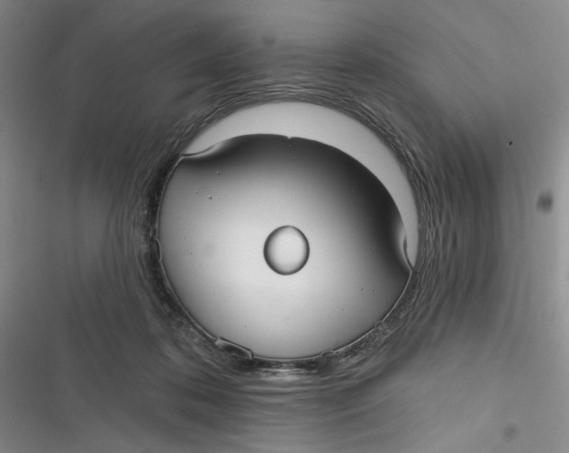 X0000116890316201001121349