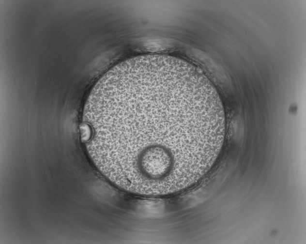 X0000116890317201001121349