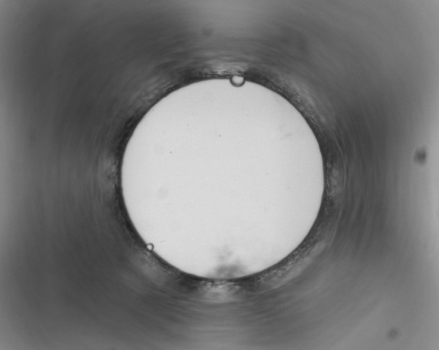 X0000116890321201001121349