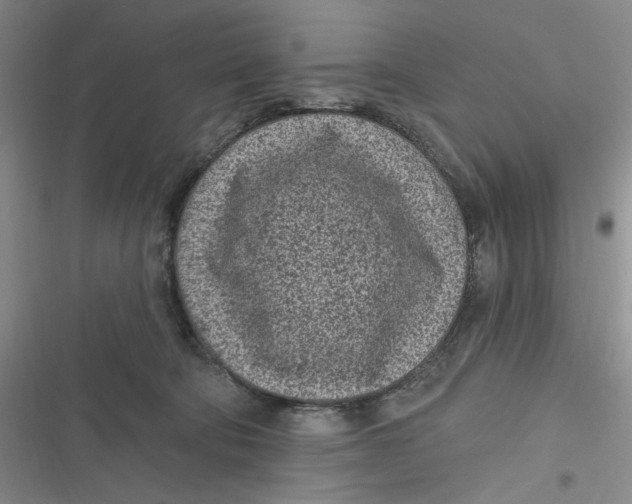 X0000116890322201001121349