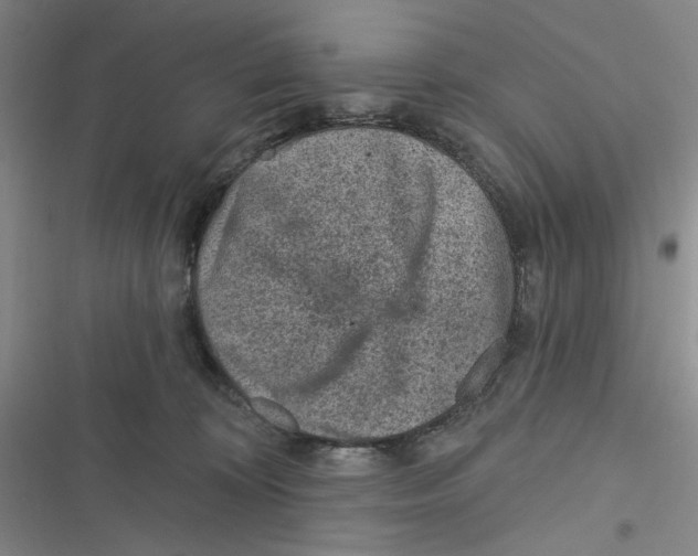 X0000116890324201001121349