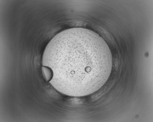 X0000116890326201001121349