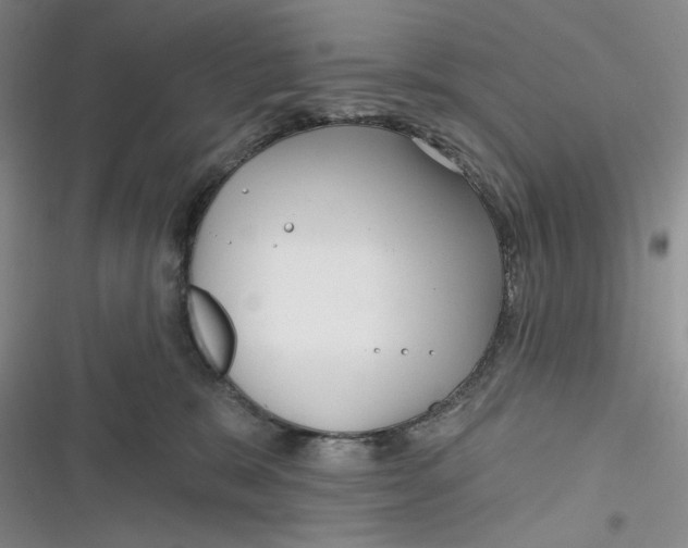 X0000116890327201001121349