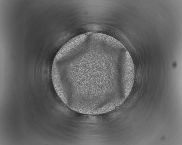 X0000116890330201001121349