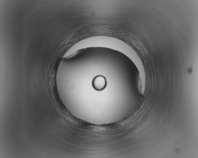 X0000116890332201001121349