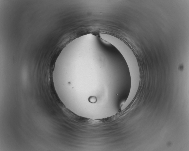 X0000116890333201001121349