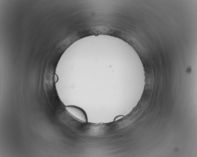 X0000116890334201001121349