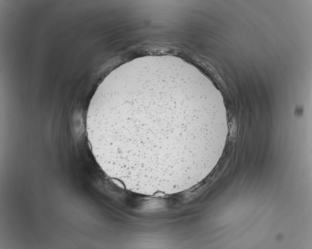 X0000116890335201001121348