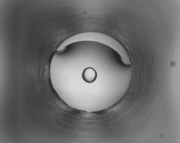 X0000116890336201001121348