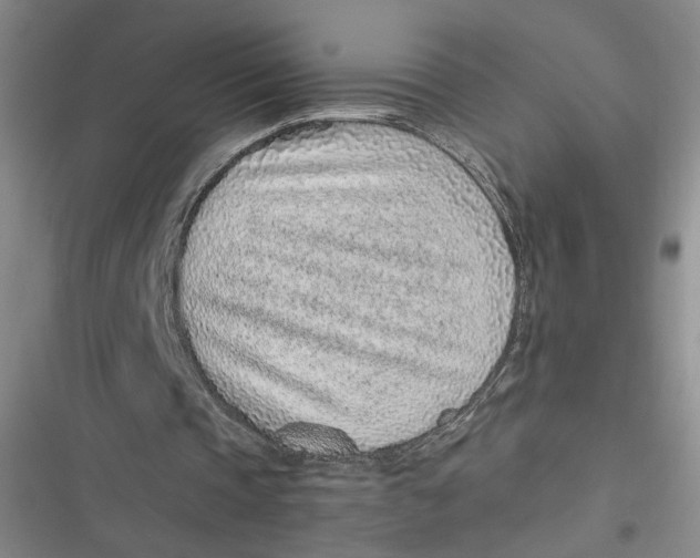 X0000116890337201001121348