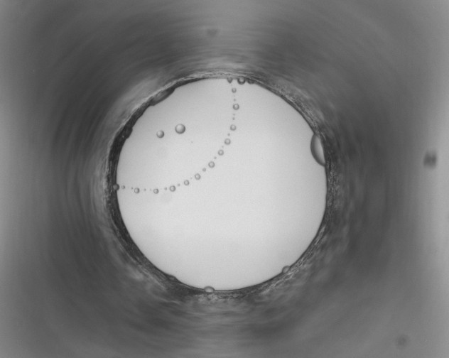 X0000116890338201001121348